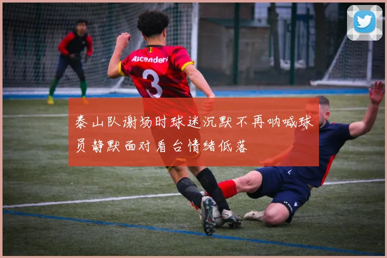 泰山队谢场时球迷沉默不再呐喊球员静默面对看台情绪低落