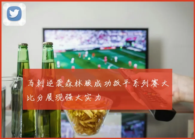 马刺逆袭森林狼成功扳平系列赛大比分展现强大实力